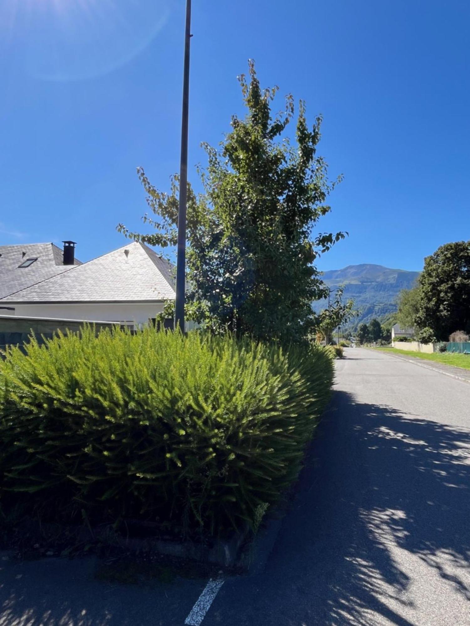 La Maison De Lilette Proche Argeles Gazost Ayzac-Ost Εξωτερικό φωτογραφία